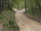 Dirt road with fork